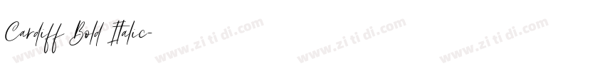 Cardiff Bold Italic字体转换